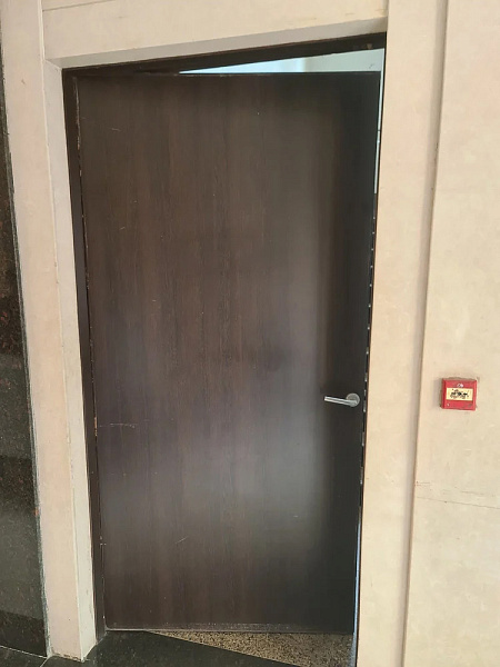 Огнестойкая дверь шпонированная