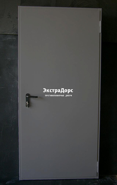 Дверь металлическая противопожарная EI 60 ДПМ 2 типа серая в Мытищах  купить