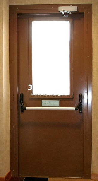 Противопожарная дверь EI 30 с антипаникой и стеклом в Мытищах  купить